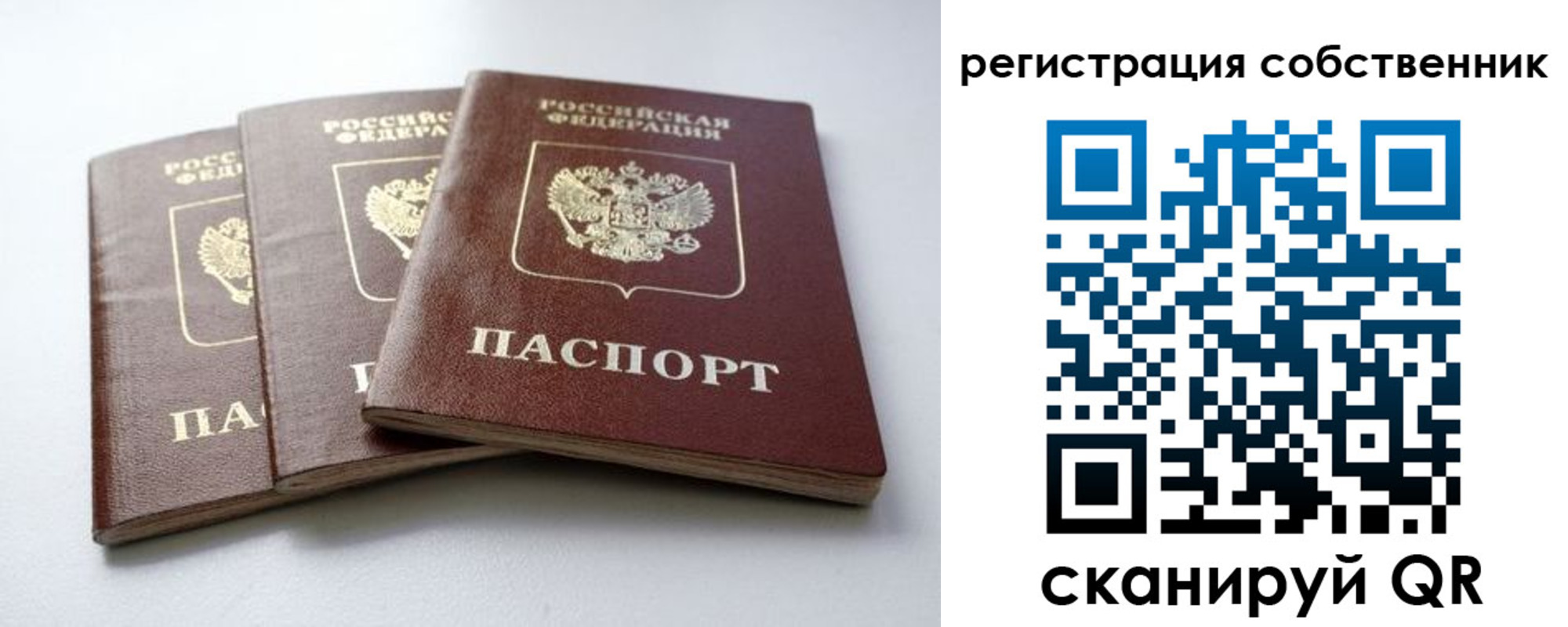 прописка для школы в Туле